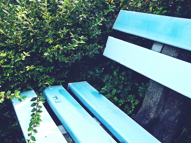 这张图片展 这张图片展