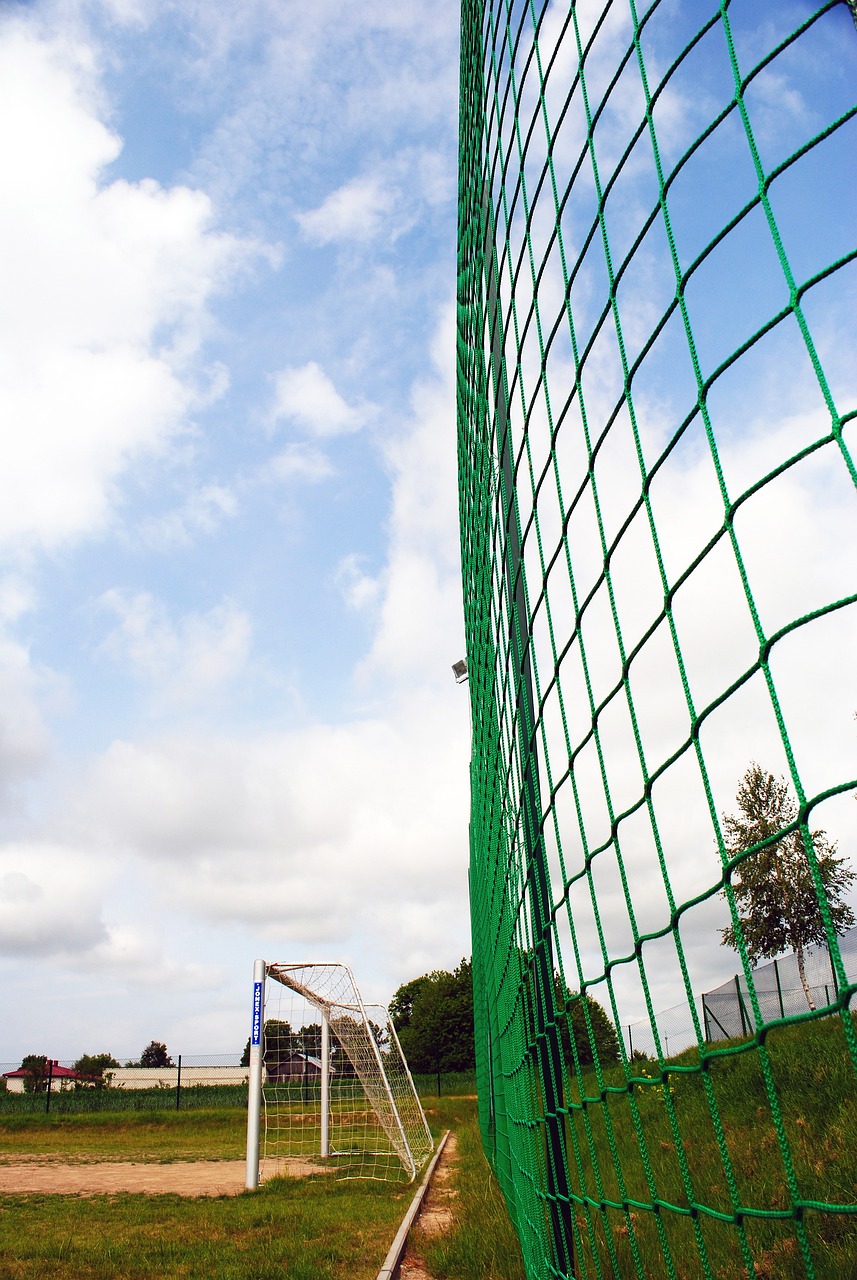 王曼昱的对 王曼昱的对