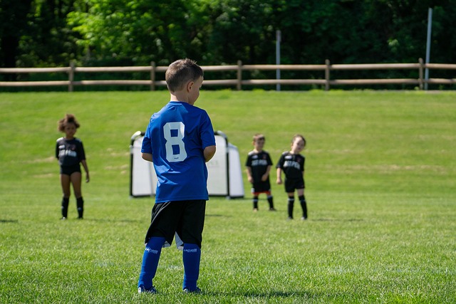 一股新风 一股新风