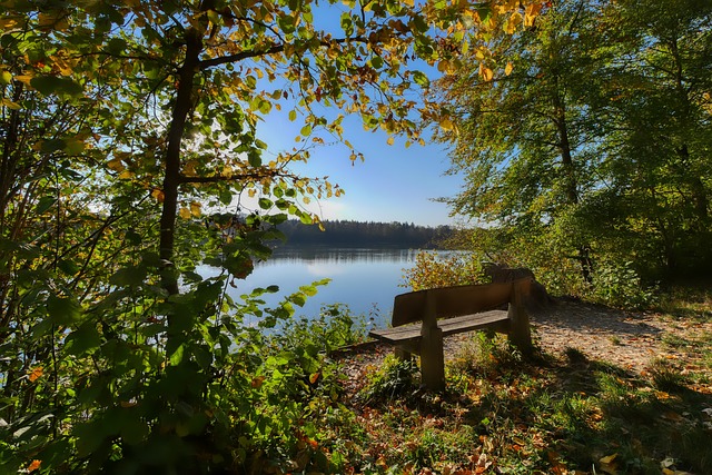 出色的球员 出色的球员