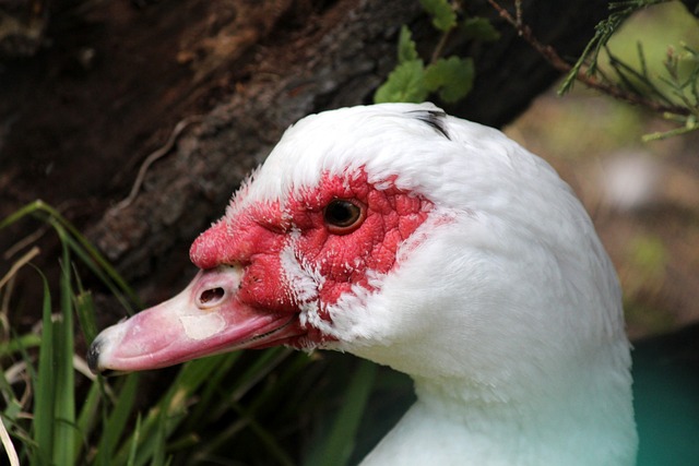每一次起伏 每一次起伏