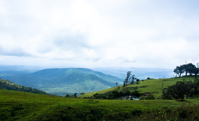 湖人队在常 湖人队在常